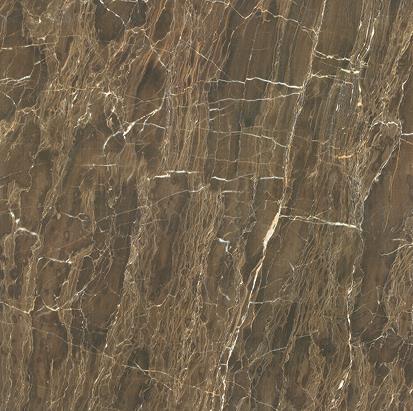 D88S036C 古典啡 800x800