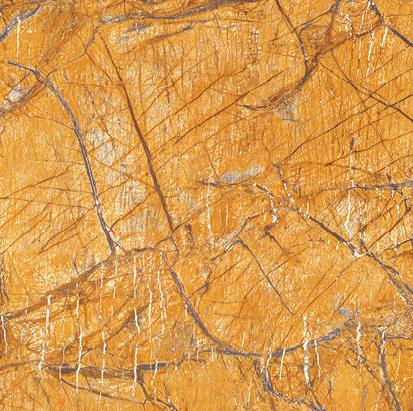 D88S071C 雨林棕 800x800