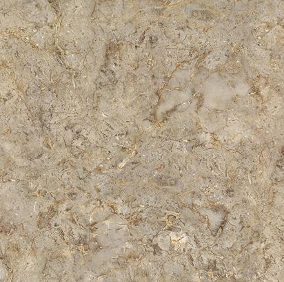 D88S023B 意大利灰 800x800